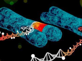 متیلاسیون DNA به عنوان یک ابزار تشخیصی 