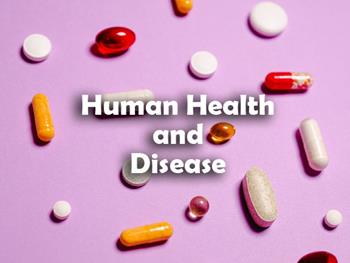متالوپروتئینازها در سلامت و بیماری انسان 