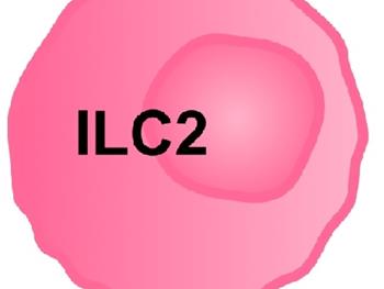 نقش سلول‌های لنفوئید ذاتی(ILC) در بیماری التهاب روده