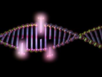 نقش ژن MYC در محافظت از ژنوم سلول‌های سرطانی 