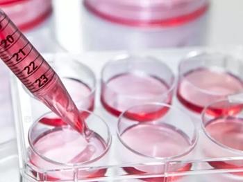 کشت سلول‌های بنیادی خونساز برای ویرایش ایمن و موثرتر ژنوم
