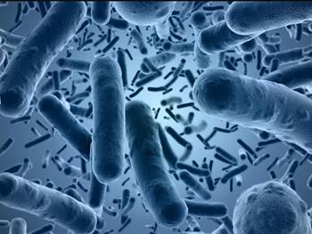 از بین بردن باکتری‌ها بدون استفاده از آنتی بیوتیک، با یک اسپری پپتیدی