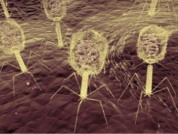 استفاده از ویروس‌ها برای انتقال ژن کریسپر به باکتری‌ها