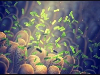 اثرات استفاده از آنتی بیوتیک در سطح جمعیت بر میکروبیوم روده انسان