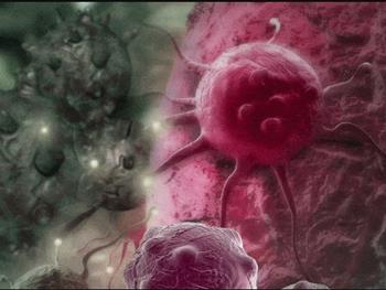کشف سوئیچ شروع مرگ سلول‌های سرطانی 