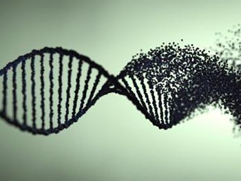 نقش انتخاب طبیعی در ایجاد ژنوم‌های غیر قابل ترجمه