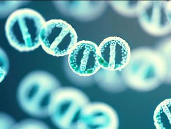 حلقه‌های کوچکی از DNA، محرک‌های اصلی تشکیل سرطان