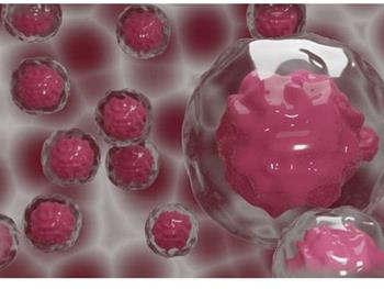   کشف محرک مولکولی اصلی تکوین سرطان سینه 