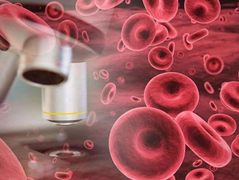 گامی مهم در ایجاد سلول‌های بنیادی خونی از سلول‌های اندوتلیال عروقی 
