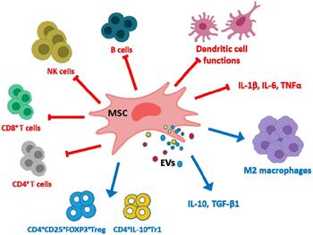 دارورسانی مبتنی بر سلول‌های بنیادی مزانشیمی (MSC) از طریق سد خونی مغزی 