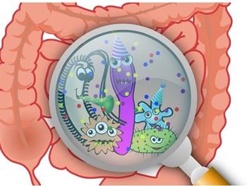 چگونه باکتری‌های روده از سیستم ایمنی فرار می‌کنند