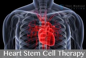 ساز و کاری در سلول‌های بنیادی به منظور درمان‌های بازسازی‌کننده آسیب قلبی 