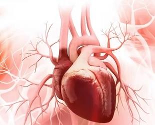 بازیابی عملکرد قلب پس از انفارکتوس 
