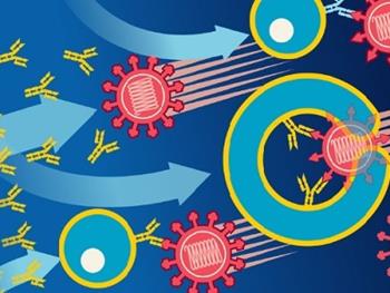 نقش سلول‌های ایمنی در کاهش پاسخ واکسن در افراد مسن 
