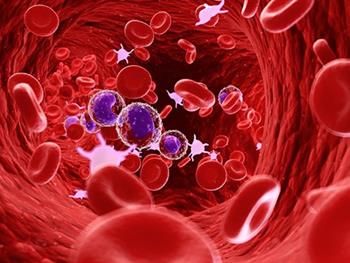 ویژگی‌های تعدیل‌کننده ایمنی سلول‌های استرومایی/بنیادی مزانشیمی در ارتباط با متابولیسم