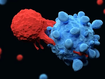 سلول‌های بنیادی سرطانی باعث پیری ماکروفاژها می‌شوند