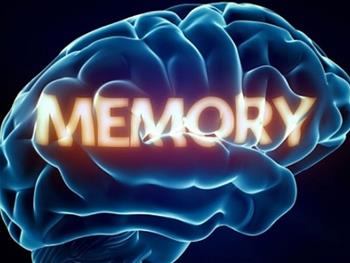 بررسی فرآیند حافظه به صورت زنده 