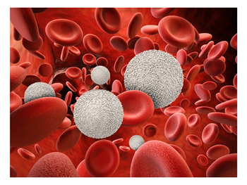 نقش سلول‌های اندوتلیال در سرطان خون