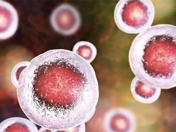 گسترش و تمایز سلول‌های بنیادی خونساز انسان در شرایط آزمایشگاهی 