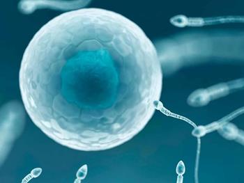 اهمیت DNAمیتوکندری در باروری مردان