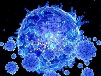 نقش سلول‌های بنیادی در فعالیت ژنی سلول‌های ایمنی 