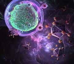 هدف گیری سلول‌های سرطان‌زا توسط باکتری‌های مهندسی شده