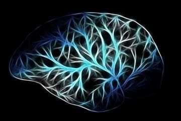 چگونه حجم نواحی مغز در بیماری پارکینسون تغییر ‌‌می‌کند؟