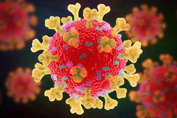 امیدواری برای درمان کووید 19 با شناسایی مسیر جدیدی از عفونت این ویروس