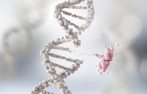 13 الگوی متمایز جهش DNA با پیامدهایی برای تکامل سرطان 