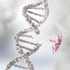 13 الگوی متمایز جهش DNA با پیامدهایی برای تکامل سرطان 
